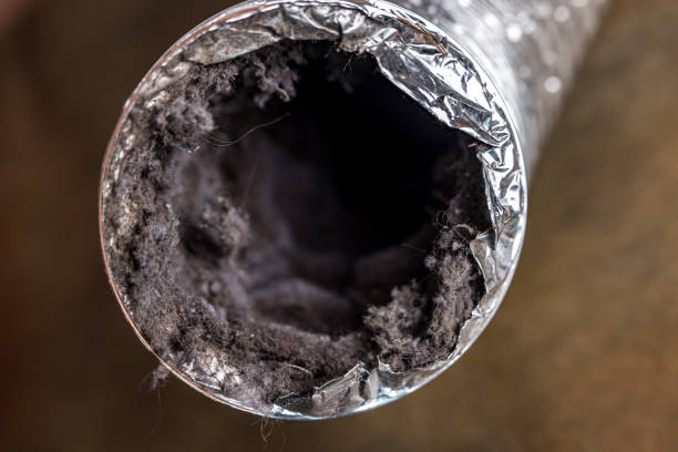 Best Commercial Air Duct Cleaning  in Cockeysville, MD